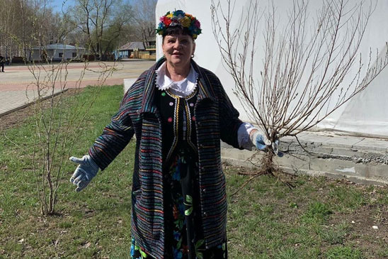 Твое дерево